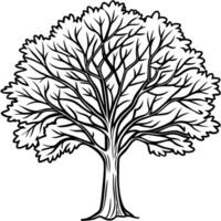 tree, illustration line art vector