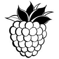 Black and white raspberry clipart image vector