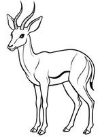 An antelope is standing in a line drawing vector