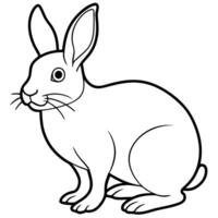 A rabbit is sitting in the coloring page vector