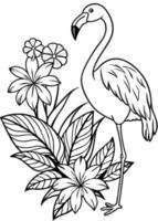 Flamingo coloring pages vector