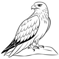 A black and white drawing of an eagle vector