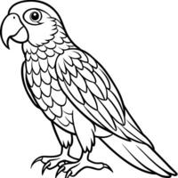 A parrot coloring page for kids vector