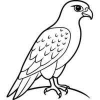 A black and white drawing of a bird vector