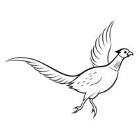 A drawing of a pheasant flying vector