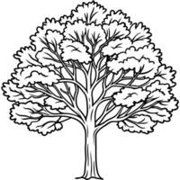 tree line art , white background, illustration line art vector