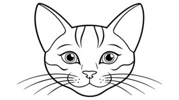 A cat's face is outlined in black and white vector