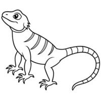 An iguana is standing on its hind legs coloring page vector