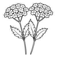 A flower coloring page with leaves and flowers vector