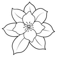 a jasmine on a white background, illustration line art vector