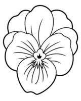 Pansies coloring pages vector