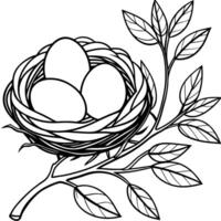 Bird nest with eggs coloring page vector