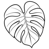 Monstera leaf coloring pages vector