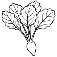 A black and white drawing of a beetroot vector