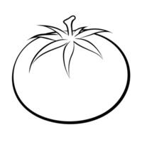Tomato coloring pages for kids vector