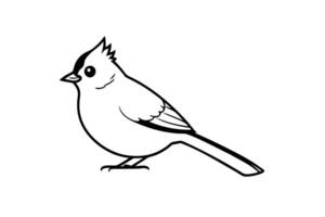 A black and white drawing of a cardinal bird vector
