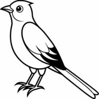 A bird is standing on its legs coloring page vector