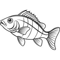 fish line art , white background, illustration line art vector