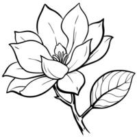 A flower with leaves coloring page vector