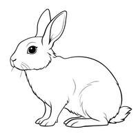 A rabbit is sitting in the coloring page vector