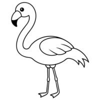 Flamingo coloring pages for kids vector