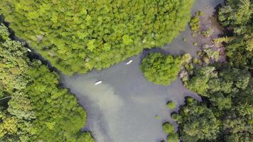Top view of the forest with a small river where you can paddle a SUP board along the river.Water sports and nature activities video