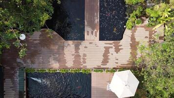 Topview the wooden bridge in the garden is surrounded by a koi pond and green trees video