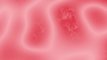 Red color lines and dots poly design modern plexus slowly moving with wiggly lines , loop able futuristic complex pattern background video