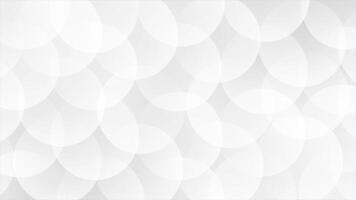 White and Black color multiple circular shapes wiggling movement modern design loop able geometrical background video