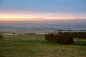 A large field with a few sheep grazing in it photo