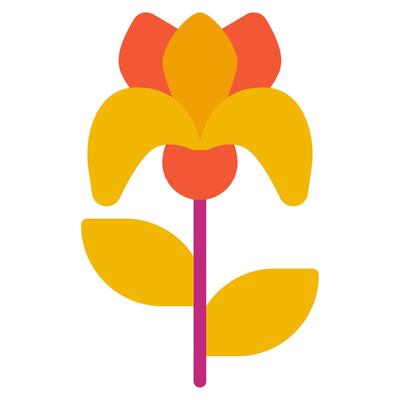 Iris icon for web, app, infographic, etc