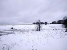 A serene winter landscape with snow-covered fields and bare trees under a gray sky near a winding path at dusk photo