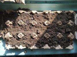 Creating a sustainable garden bed with recycled materials and soil in a bright, sunlit environment photo