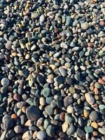 Natural collection of smooth colorful pebbles forming a textured surface on a coastal beach photo