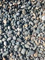 Assorted smooth pebbles spread across a natural beach surface creating a textured coastal landscape photo