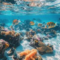 Vibrant underwater scene with tropical fish swimming among colorful coral reefs in clear blue waters photo