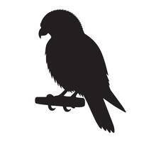 African Pygmy Falcon silhouette on white background vector
