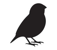 African Quailfinch silhouette on white background vector