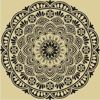 gorgeous mandala design art vector