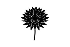 aster flower silhouette design outline vector