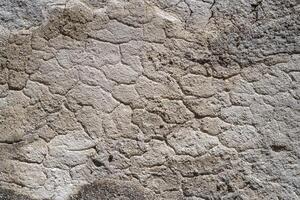 Texture of gray rough plaster. Abstract design background. photo