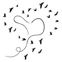 Birds are circling around vector