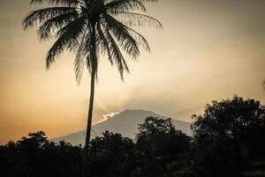 Silhouettes of coconut trees and mountains in the background photo