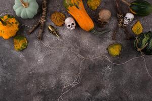 Halloween composition with skull and pumpkins photo