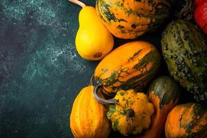 Various decorative pumpkin on green background photo