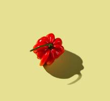 Red bell peper with hard shadow, isolated photo