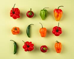 Colorful peper on green background photo