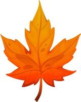 Beautiful maple leaf on isolated white background. Leaf cartoon. vector