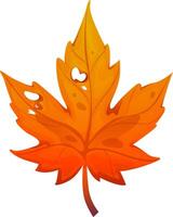 Colorful autumn leaf on isolated white background. Leaf in cartoon style vector