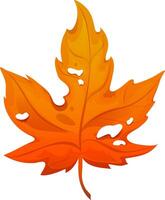 Autumn maple leaf on isolated white background. Maple leaf in cartoon style vector